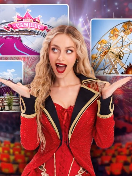 Project: The Fungroup - Circus Camille